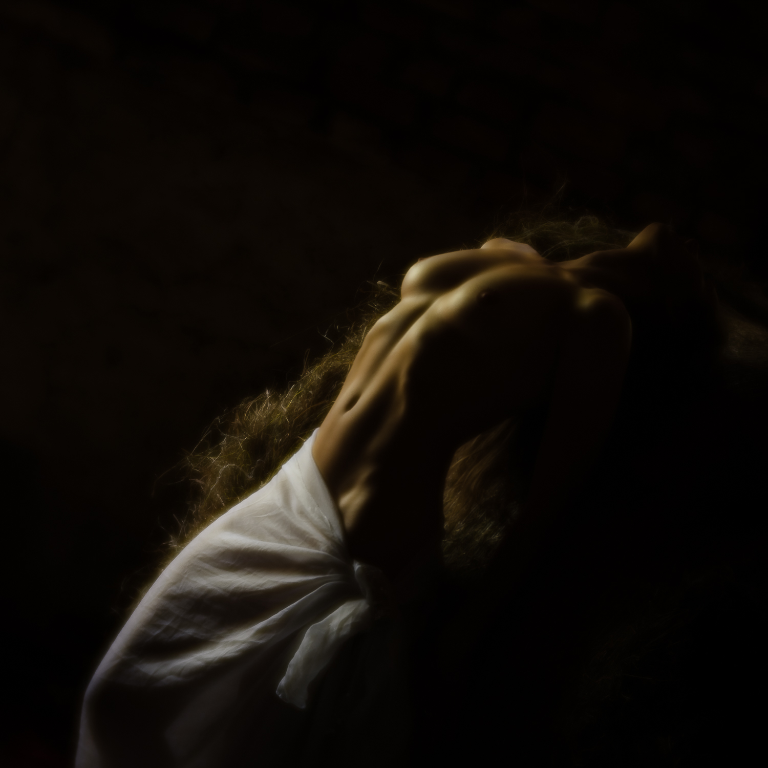 Akt im Schloss Blumenthal    2018